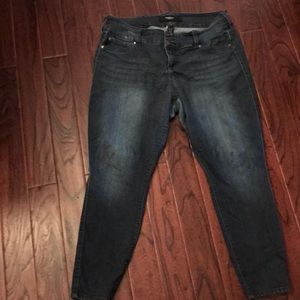 Torrid Skinny Jeans
